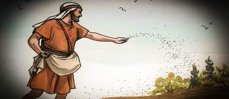 Parable of the Sower, A Parable of Our Life In Christ - VeritasPH